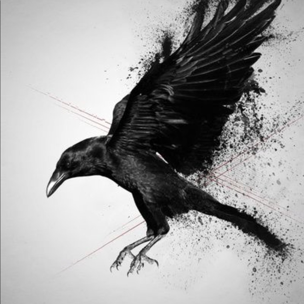 Meet your Posher, Lance